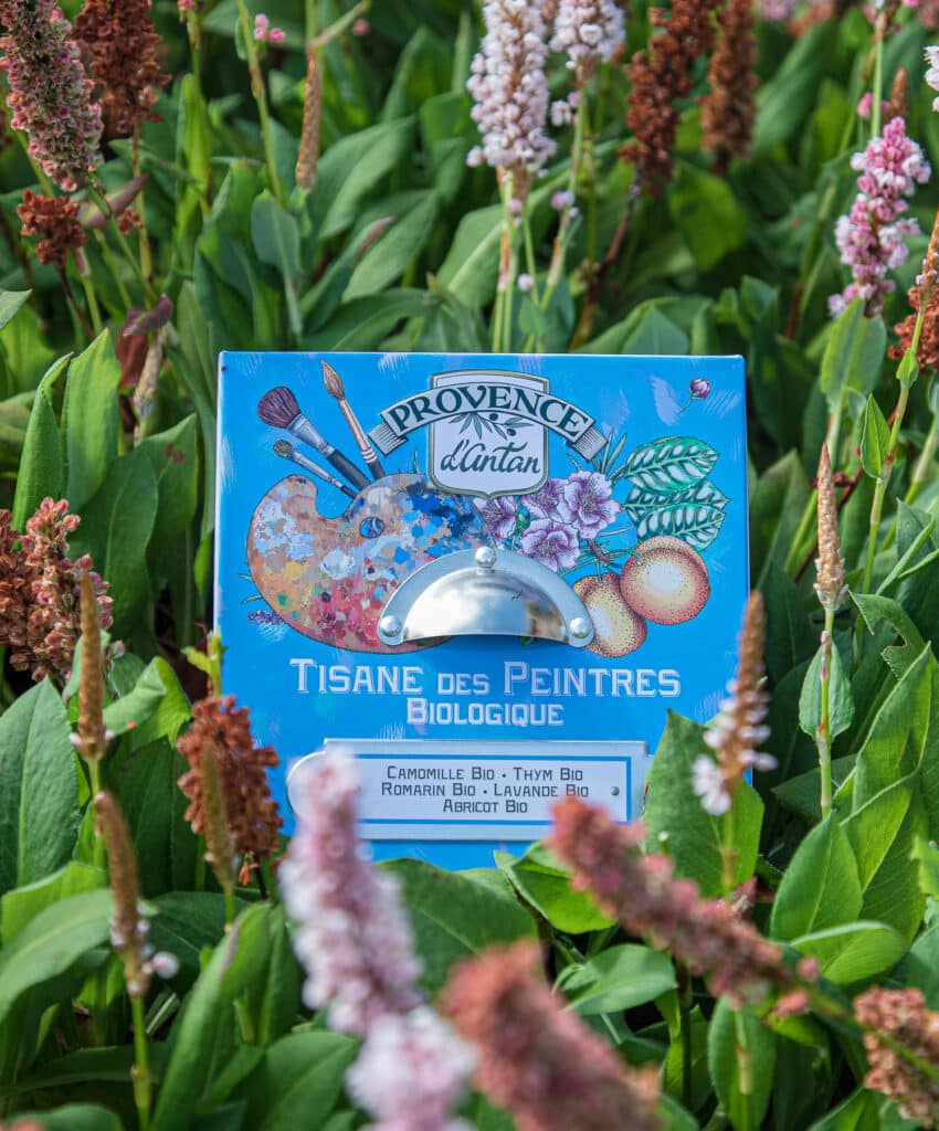 Tisane des peintres urtete økologisk vegansk kunstner urtete