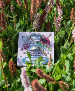 Tisane Jour d'amour urtete Vegansk, økologisk og glutenfri te